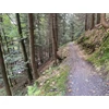 Kép 4/21 - 2026. 05. 22. - 05. 25. (MTB) Négynapos terepbringázás Csehország és Lengyelország épített TRAIL ösvényein!