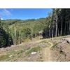 Kép 13/21 - 2026. 05. 22. - 05. 25. (MTB) Négynapos terepbringázás Csehország és Lengyelország épített TRAIL ösvényein!